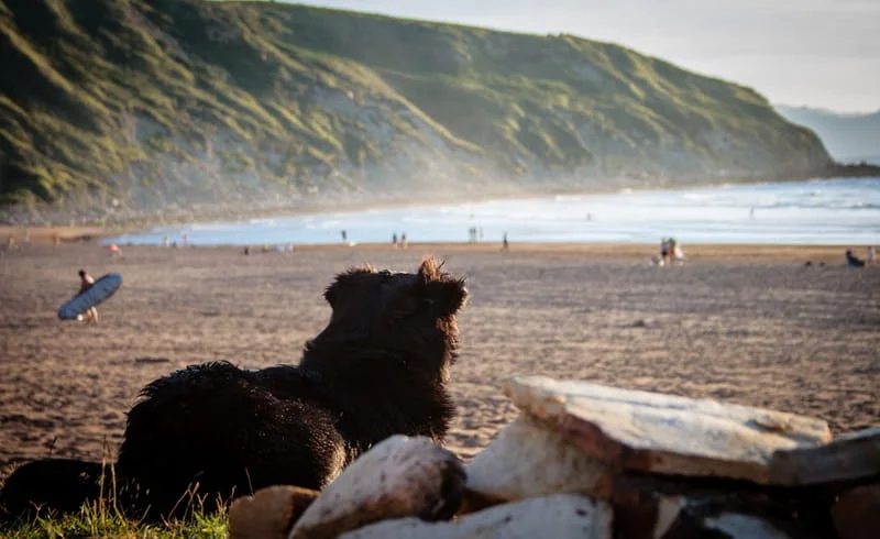 océan côte basque