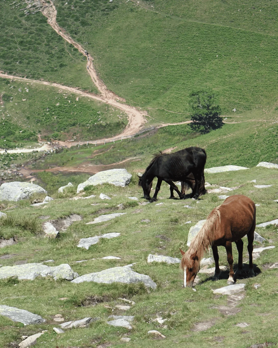 montagne basque